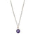 Charmed Dreamer Mini Necklace | Amethyst and Silver