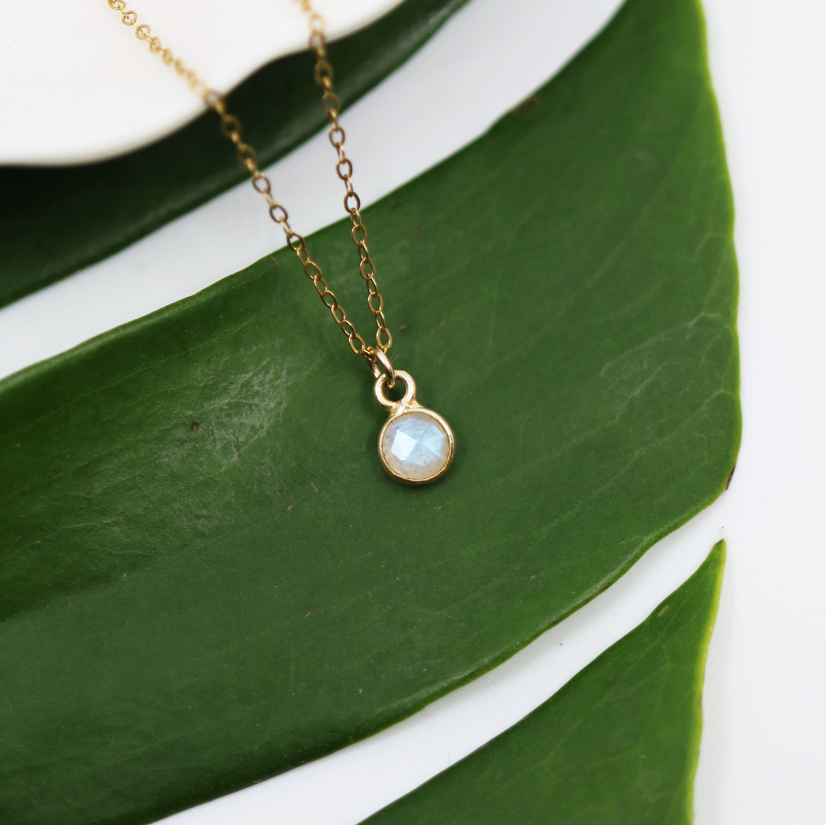 Charmed by Intuition Mini Necklace | Moonstone and Gold
